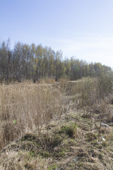 Similar image 6409181