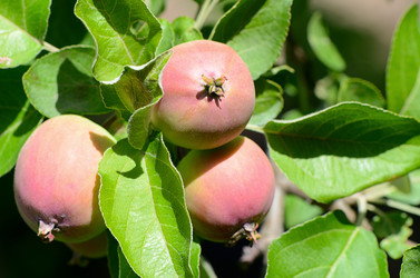 Similar image 6409199