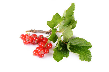 Similar image 6409203