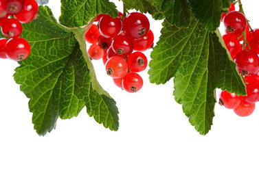 Similar image 6409205