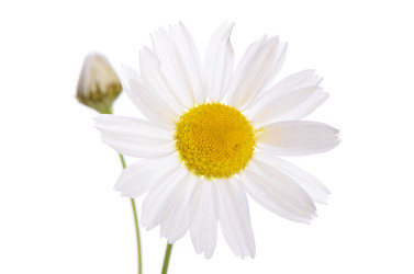 Similar image 6409206