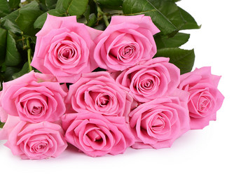 Similar image 6409209