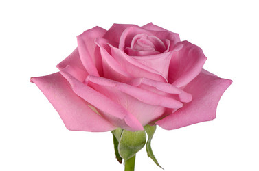 Similar image 6409213