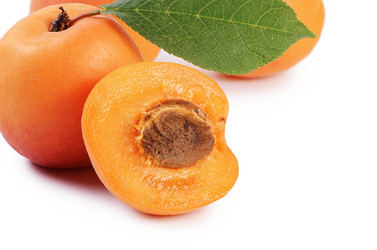 Similar image 6409218