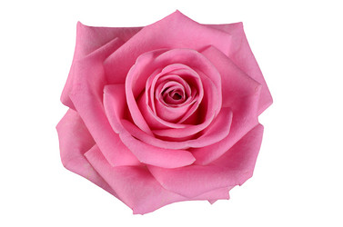 Similar image 6409225