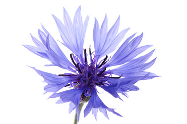 Similar image 6409227