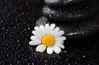 Similar image 6409229