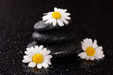 Similar image 6409230