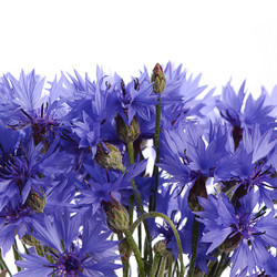 Similar image 6409246