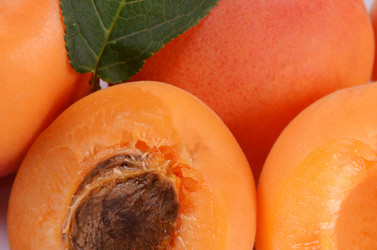 Similar image 6409252