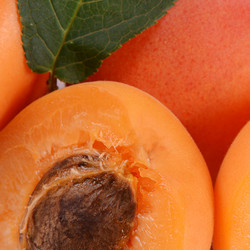 Similar image 6409253