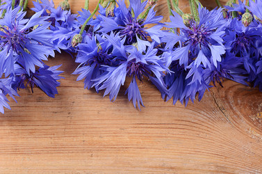 Similar image 6409257