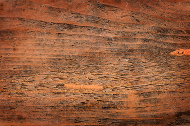 Similar image 6409299