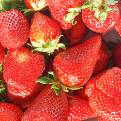 Similar image 6409318