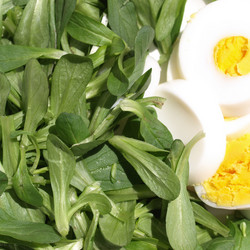 Similar image 6409320