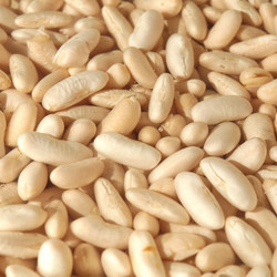 Similar image 6409322