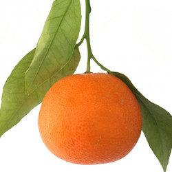 Similar image 6409336