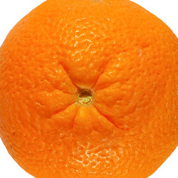 Similar image 6409355