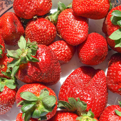 Similar image 6409365