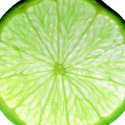 Similar image 6409373