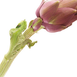 Similar image 6409383