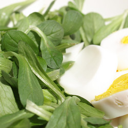 Similar image 6409405