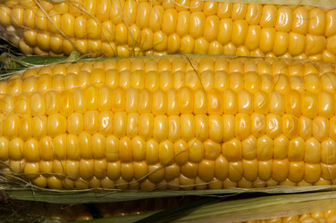 Similar image 6409416