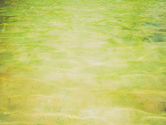 Similar image 6409475