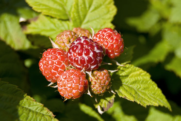 Similar image 6409559