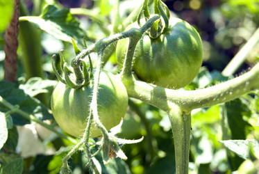 Similar image 6409565