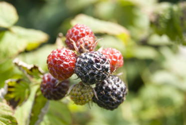 Similar image 6409566