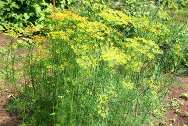 Similar image 6409779