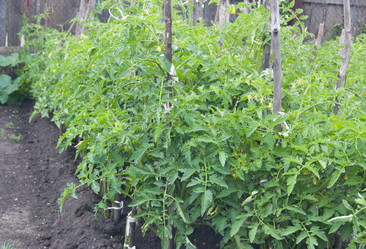 Similar image 6409782