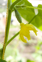 Similar image 6409783