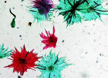 Similar image 6409791