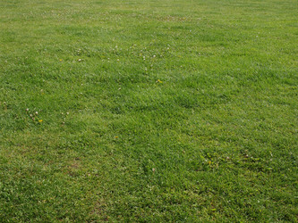 Similar image 6409847