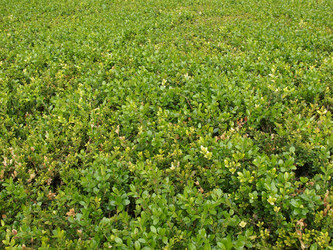 Similar image 6409970