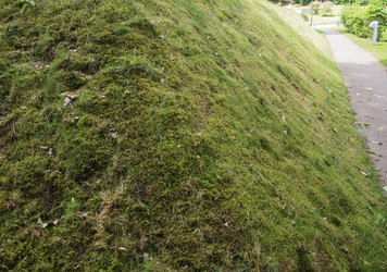 Similar image 6410048