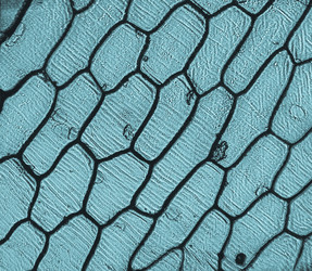 Similar image 6410072