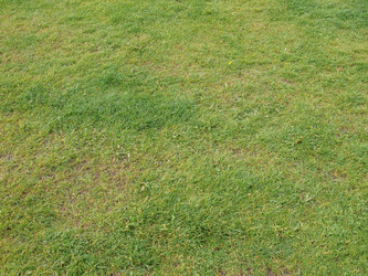 Similar image 6410083