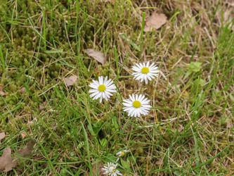 Similar image 6410091