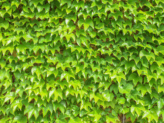 Similar image 6410097