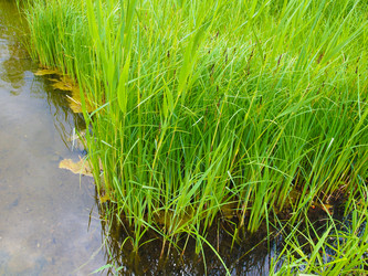 Similar image 6410102