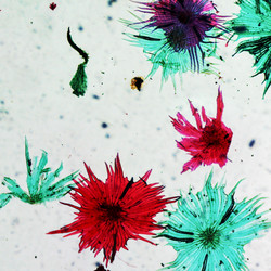 Similar image 6410105