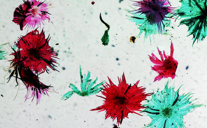 Similar image 6410146