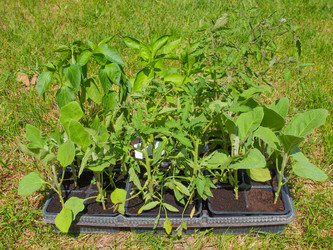 Similar image 6410319