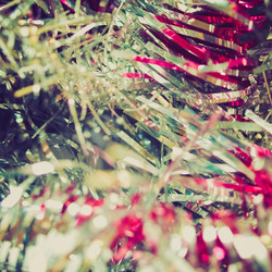 Similar image 6410331