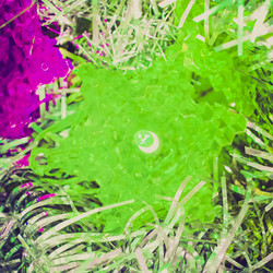 Similar image 6410361