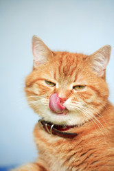 Similar image 6410371