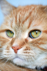 Similar image 6410373